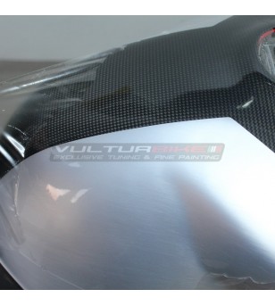PPF pelicula protectora - Ducati Multistrada