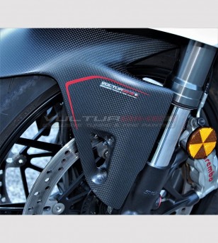 Custom Carbon Kotflügel vorne - Ducati Panigale V4 / V4S / V4R / V2 2020 / Streetfighter V4 / V2
