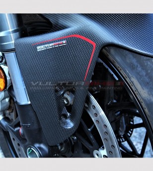 Aile avant en carbone personnalisée - Ducati Panigale V4 / V4S / V4R / V2 2020 / Streetfighter V4 / V2
