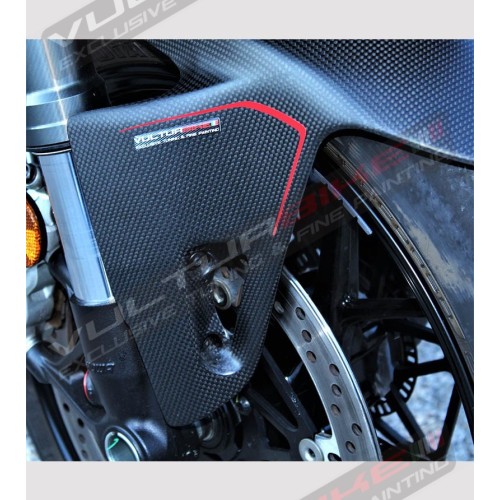 Aile avant en carbone personnalisée - Ducati Panigale V4 / V4S / V4R / V2 2020 / Streetfighter V4 / V2
