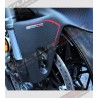 Custom Carbon Kotflügel vorne - Ducati Panigale V4 / V4S / V4R / V2 2020 / Streetfighter V4 / V2
