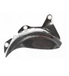 Lichtmaschinenabdeckung Carbon - Ducati Panigale 1199-1299