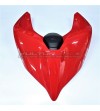 Single seat tail - Ducati Panigale V2 2020 / Streetfighter V4 