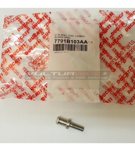 ORIGINAL special screw Ducati Panigale V4 / V4S/ V4R / V4 2020 