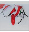 Upper fairings Ducati Panigale V4 2020 Restyling special version 2018/19 