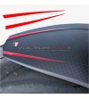 Hinten Kotflügel Aufkleber - Ducati Panigale V4 / V2 2020 / Streetfighter V4 