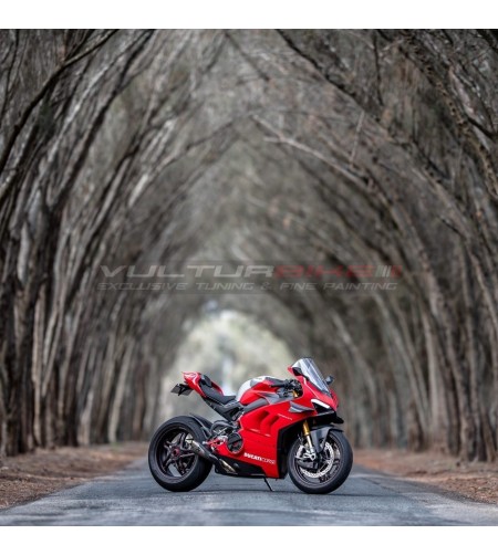 Kompletter Carbon Verkleidungssatz Sonderanfertigung - Ducati Panigale V4 / V4R / V4 2020