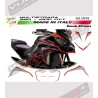 Librea personalizada para Ducati multistrada 950 - 1200 DVT Volcan Gray
