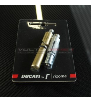 Adapters for brake lever protection - Ducati Panigale V4 / Streetfighter V4