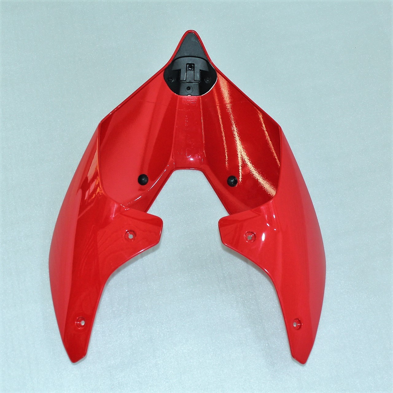 Original tail - Ducati Panigale V4 / V4S 2020