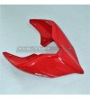 Codón original - Ducati Panigale V4 / V4S 2020 