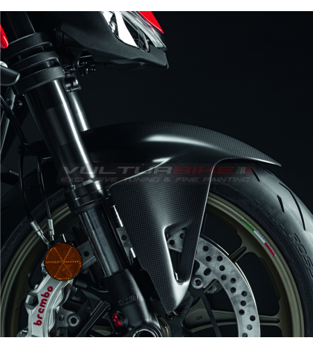 ORIGINAL Carbon Kotflügel vorne - Ducati Panigale V2 / V4 / Streetfighter V4 