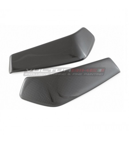 Cubierta del radiador de carbono - Ducati Monster 1200 / 1200S / 1200R 2014-2019
