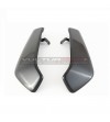 Cubierta del radiador de carbono - Ducati Monster 1200 / 1200S / 1200R 2014-2019