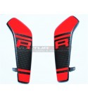 Cubierta de radiador de carbono personalizada - Ducati Monster 1200S / 1200R 2014-2019