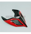 Dark Carbon Tail Special - Ducati Panigale V4 / V4S / V4R / V2 / Streetfighter V4 / V2