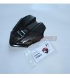 Carbon Instrumentenabdeckung mit Originalschild - Ducati Panigale V4 / V4S 