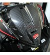 Couvercle d’instrument en carbone avec bouclier d’origine - Ducati Panigale V4 / V4S 