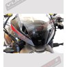 Klebesatz für neue Ducati Monster 797/821/1200 - 2018